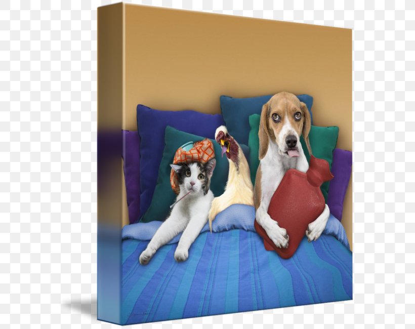 Beagle Dog Breed Puppy Cat Pet Sitting, PNG, 589x650px, Beagle, Carnivoran, Cat, Companion Dog, Cuteness Download Free