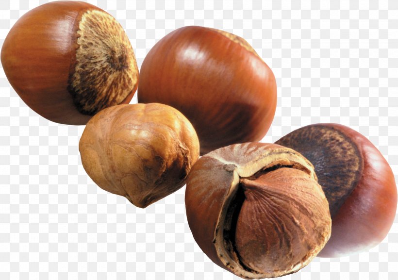 Hazelnut Nuts Walnut, PNG, 3400x2394px, Hazelnut, Almond, Chestnut, Dried Fruit, Food Download Free
