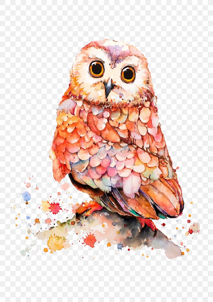 Owl Cartoon Illustration, PNG, 900x1273px, Owl, Art, Beak, Bird, Bird Of Prey Download Free