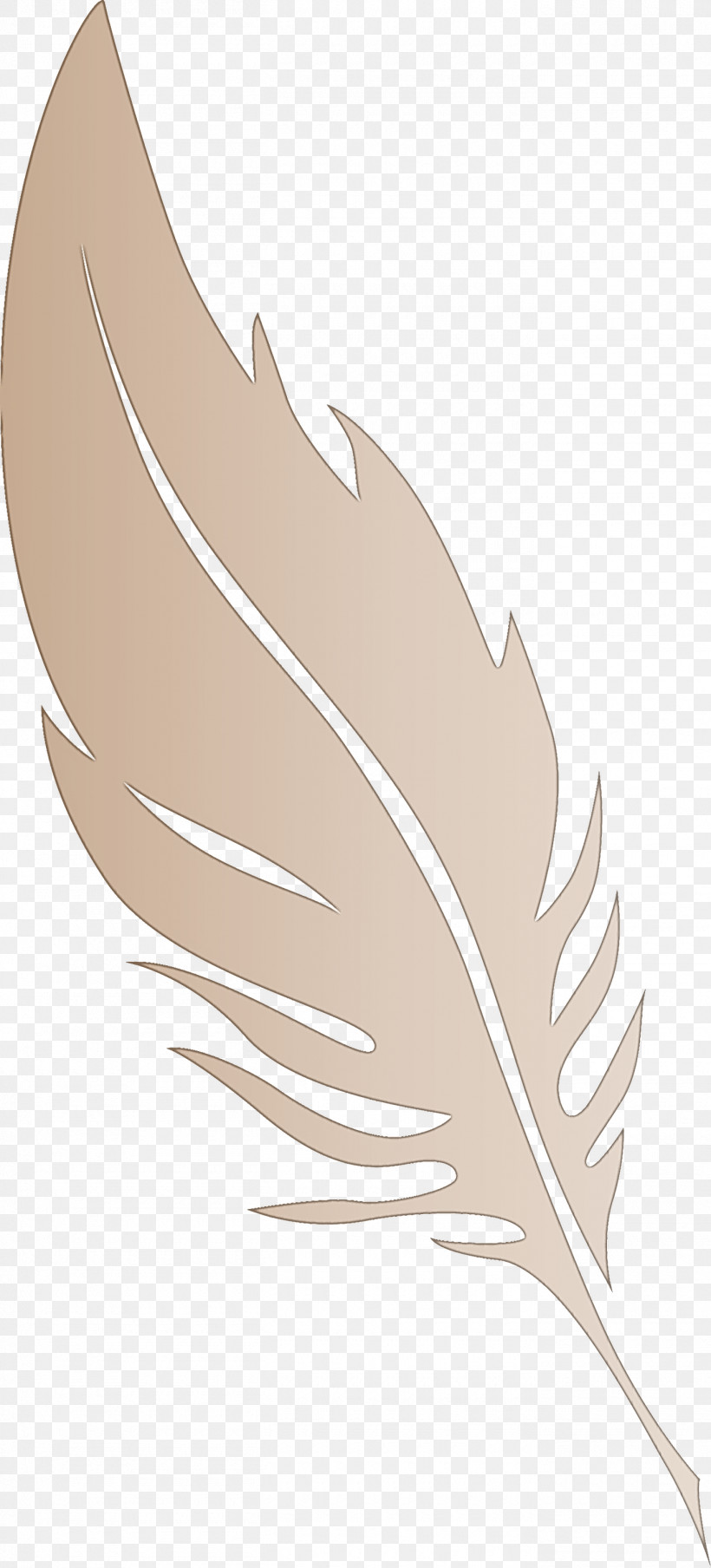 Feather, PNG, 1360x3000px, Feather, Beak, Biology, Leaf, Line Download Free