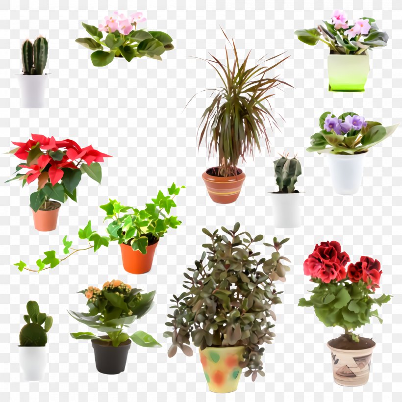 Flower Flowerpot Plant Houseplant Flowering Plant, PNG, 2000x2000px, Flower, Anthurium, Cut Flowers, Flowering Plant, Flowerpot Download Free