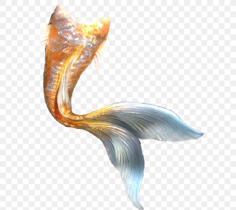 Mermaid Ariel Tail, PNG, 600x730px, Mermaid, Ariel, Body, Computer, Fish Download Free