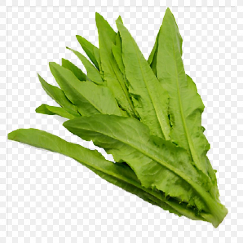 Spring Greens Celtuce Choy Sum Leaf Vegetable, PNG, 1024x1024px, Spring Greens, Bok Choy, Celtuce, Chinese Broccoli, Choy Sum Download Free