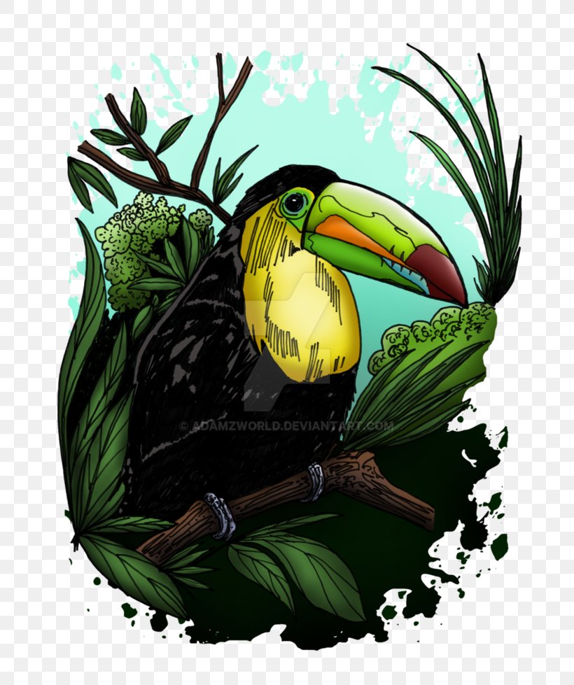 T-shirt Bird Top Fashion, PNG, 816x979px, Tshirt, Animal, Bird, Brand, Collar Download Free