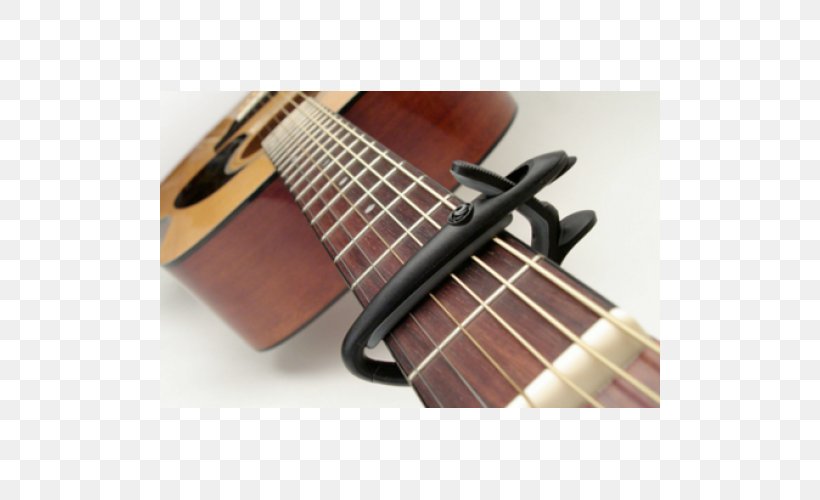 Bass Guitar Capo Acoustic Guitar Acoustic-electric Guitar Tiple, PNG, 500x500px, Watercolor, Cartoon, Flower, Frame, Heart Download Free