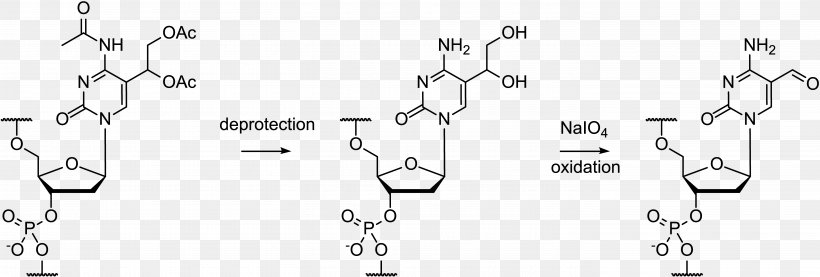 Oligonucleotide Synthesis Protecting Group Cytosine Periodate, PNG, 5650x1910px, Oligonucleotide, Ammonia Solution, Auto Part, Base, Black And White Download Free