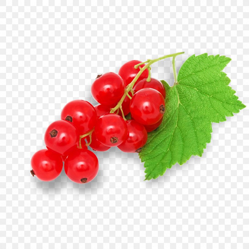 Berry Currant Plant Fruit Leaf, PNG, 1000x1000px, Berry, Cranberry, Currant, Flower, Food Download Free