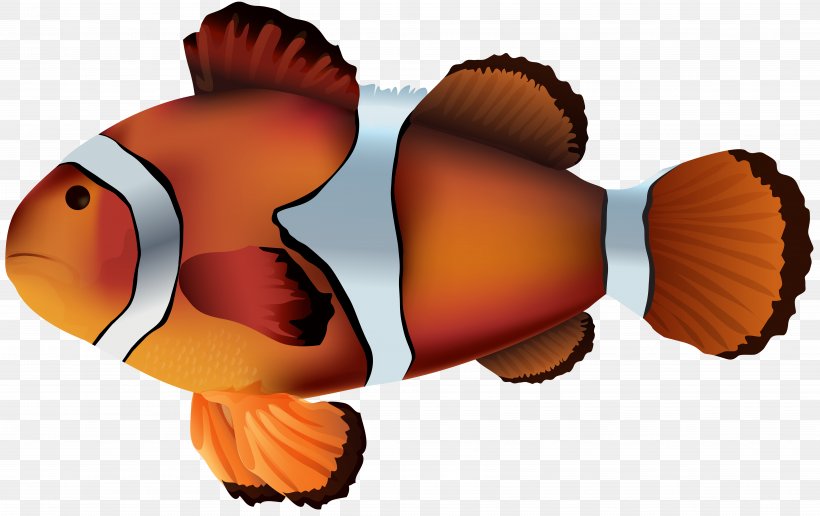 Clownfish Clip Art, PNG, 6899x4349px, Clownfish, Angelfish, Animal, Fish, Orange Download Free