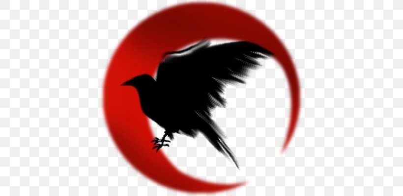 Common Raven Symbol The Raven Meaning, PNG, 640x400px, Common Raven, Art, Beak, Crow, Crow Family Download Free