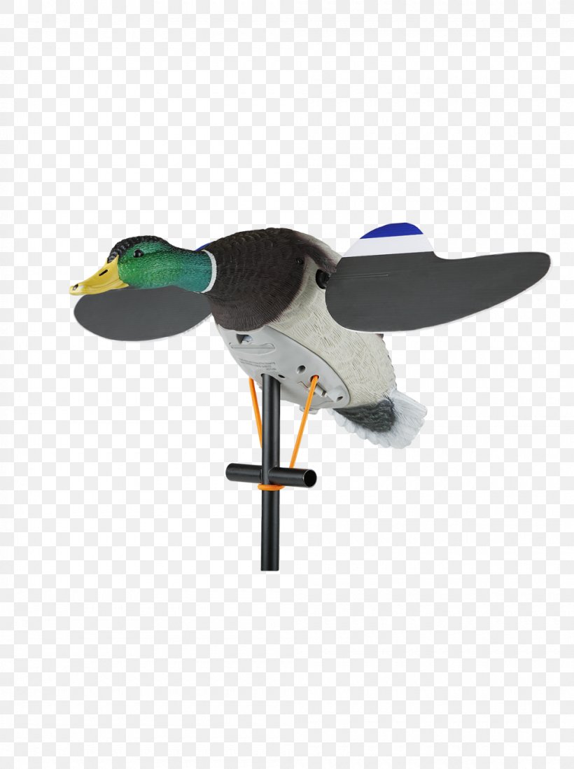 Duck Decoy Mallard Duck Decoy Waterfowl Hunting, PNG, 1000x1340px, Duck, Canada Goose, Decoy, Duck Decoy, Gadwall Download Free