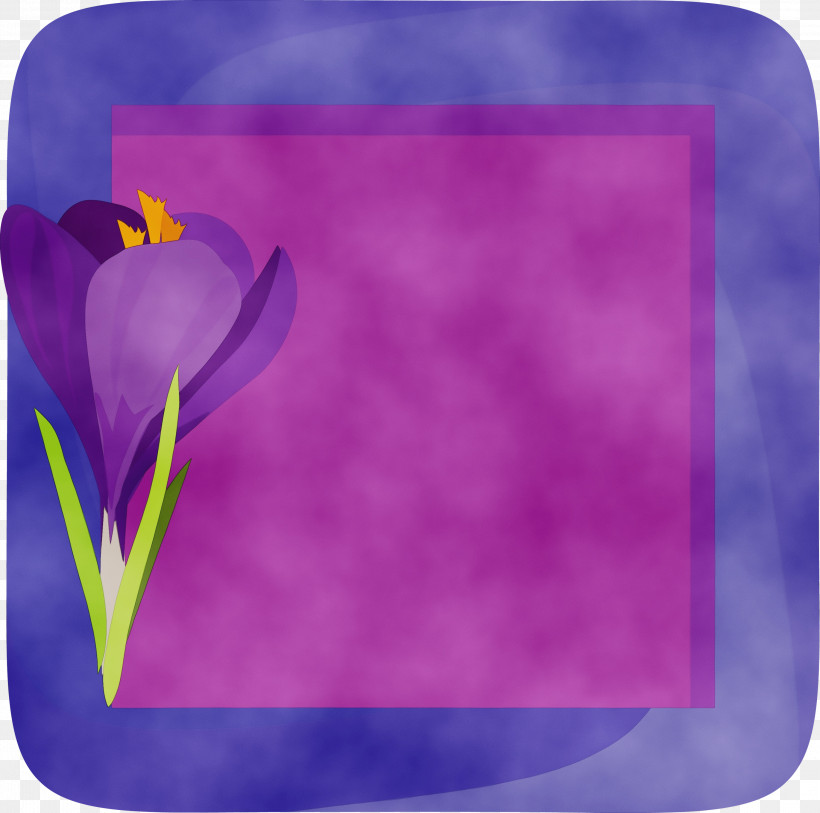 Lavender, PNG, 3000x2975px, Flower Photo Frame, Biology, Crocus, Flower, Flower Frame Download Free