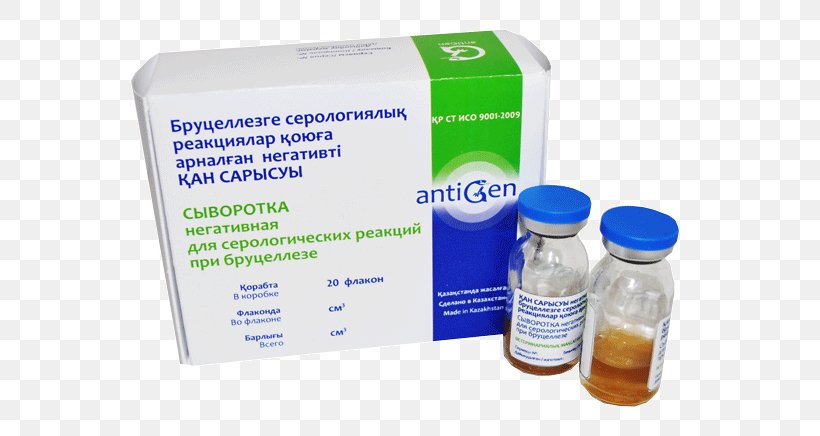 Vaccine Agglutination Antigen Strain Injection, PNG, 600x436px, Vaccine, Agglutination, Anthrax, Antigen, Brucellosis Download Free