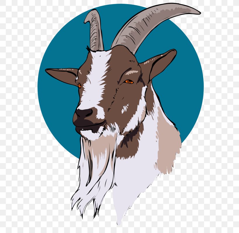 Cattle Clip Art Boer Goat Image Openclipart, PNG, 620x800px, Cattle, Boer Goat, Cattle Like Mammal, Cow Goat Family, Dairy Download Free