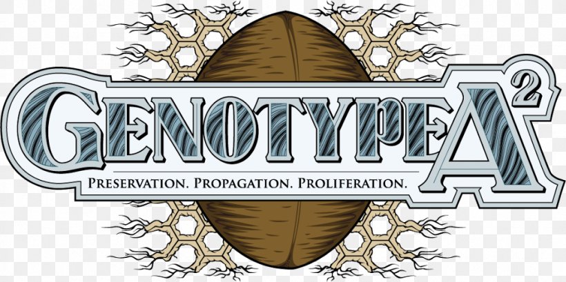 Genotype A2 Germination Seed Paper Logo, PNG, 1008x503px, Germination, Ann Arbor, Brand, Cash, Genetics Download Free