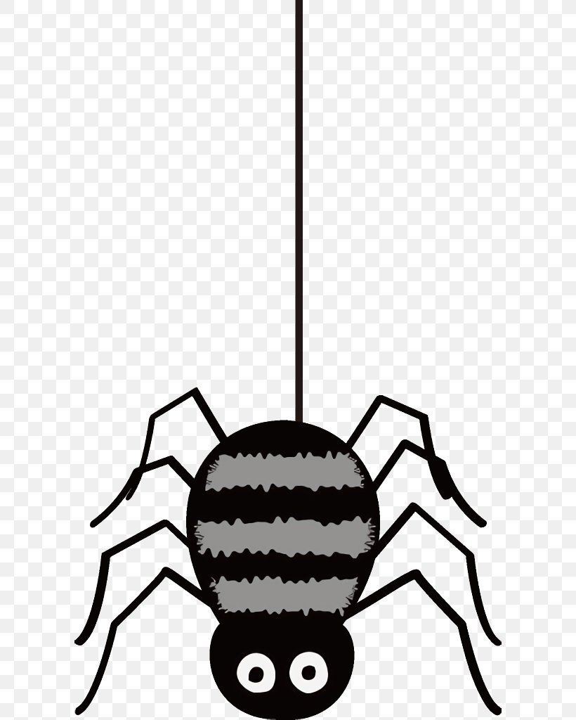 Spider Halloween, PNG, 608x1024px, Spider, Arachnid, Halloween, Insect Download Free