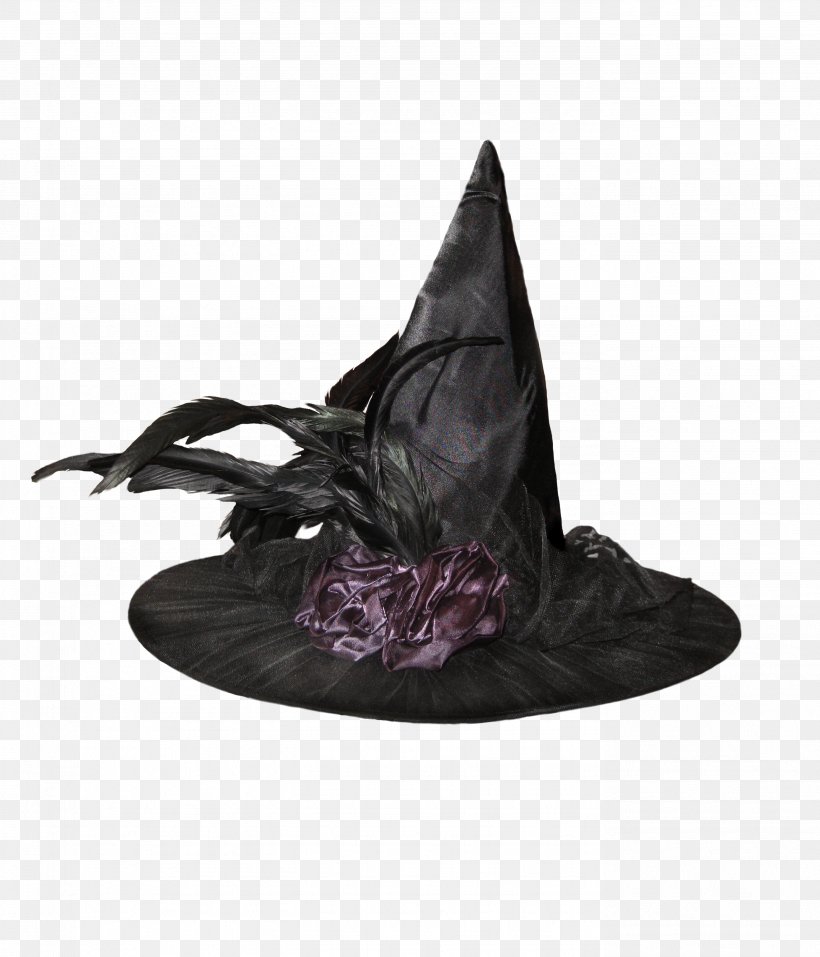 Witch Hat Boszorkxe1ny Magician, PNG, 2776x3240px, Hat, Bonnet, Costume, Halloween, Headgear Download Free