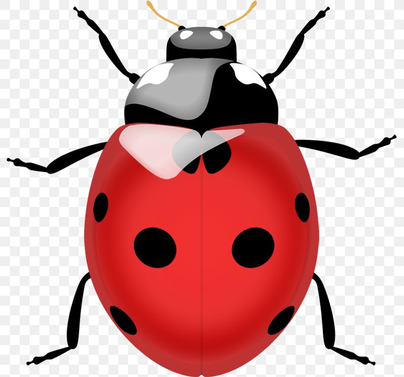 Beetle Ladybird Lady Bug Realtors Edrina Fitting, FL Lady Bug Coccinella Septempunctata, PNG, 793x765px, Beetle, Clip Art, Coccinella Septempunctata, Image File Formats, Insect Download Free