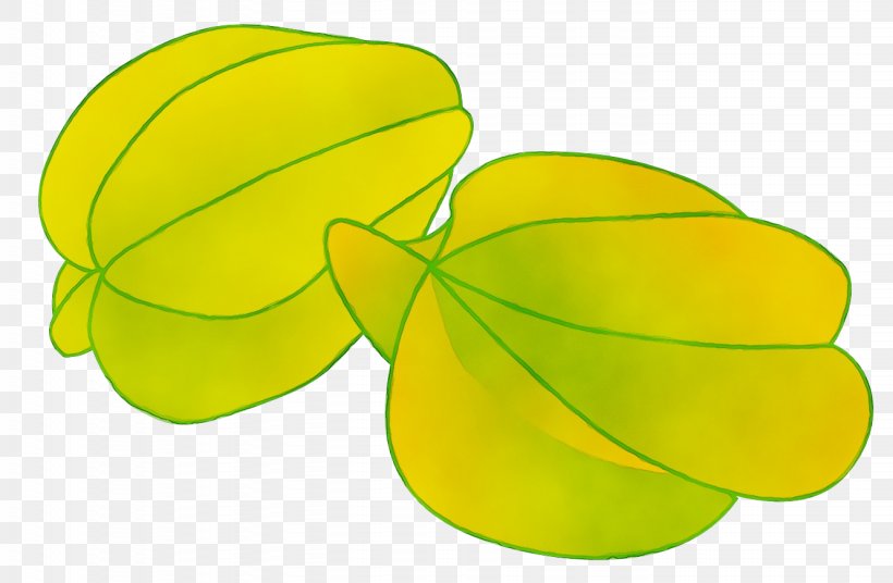 Leaf Yellow Green Clip Art Plant, PNG, 1331x871px, Watercolor, Fruit, Green, Leaf, Paint Download Free