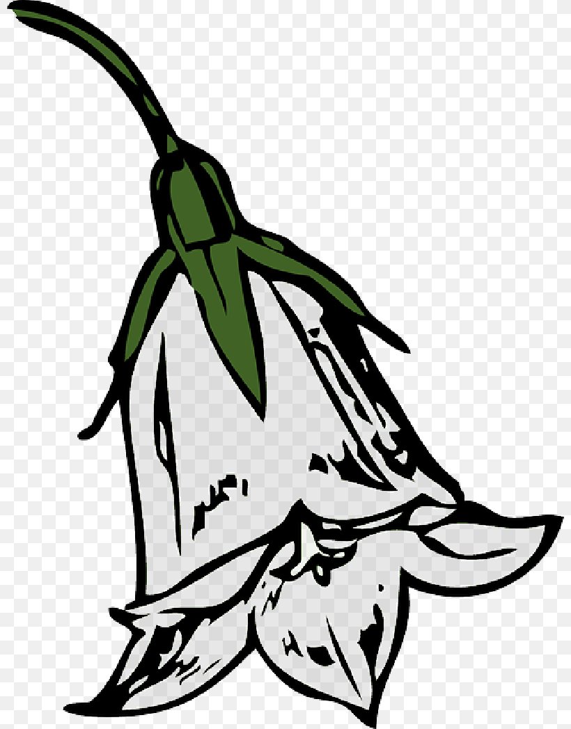 Clip Art Common Bluebell Bluebell Festival Of The Arts Free Content, PNG, 800x1047px, Common Bluebell, Blackandwhite, Bluebells, Botany, Coloring Book Download Free