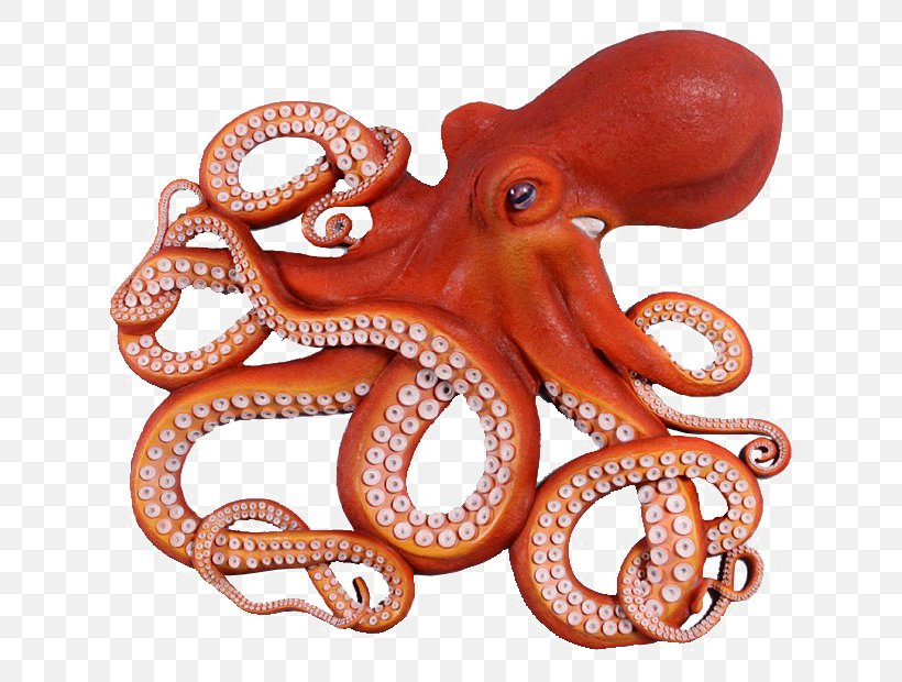 Giant Pacific Octopus Clip Art Fishing Drawing, PNG, 620x620px, Octopus, Animal, Boating, Cephalopod, Crossstitch Download Free