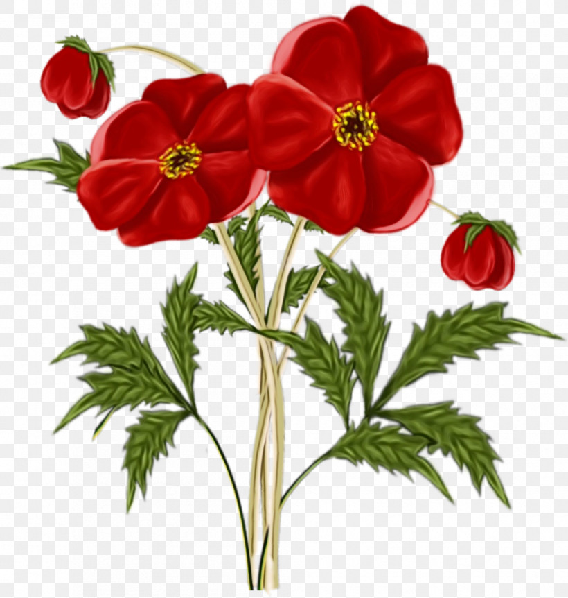 Flower Plant Red Petal Anemone, PNG, 1005x1057px, Watercolor, Anemone, Cinquefoil, Flower, Paint Download Free