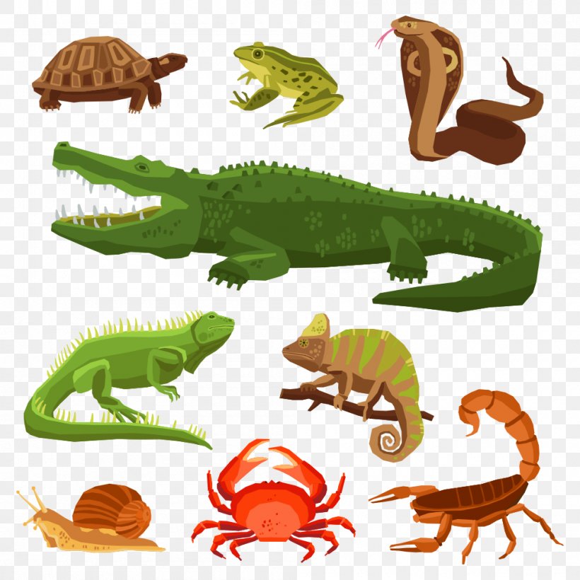 Amphibian Reptile Stock Photography Clip Art, PNG, 1000x1000px, Amphibian, Animal Figure, Cartoon, Dinosaur, Drawing Download Free