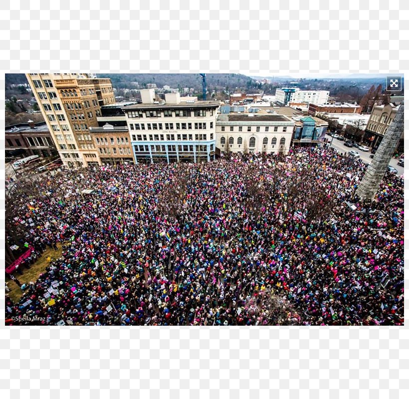 Asheville 2017 Women's March 2018 Women's March 0 Woman, PNG, 800x800px, 2017, 2018, Asheville, City, Crowd Download Free