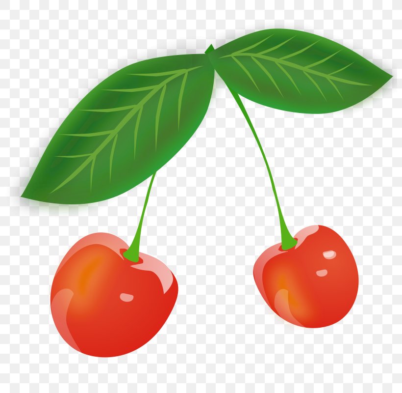 Cherry Clip Art, PNG, 800x800px, Cherry, Food, Fruit, Leaf, Natural Foods Download Free