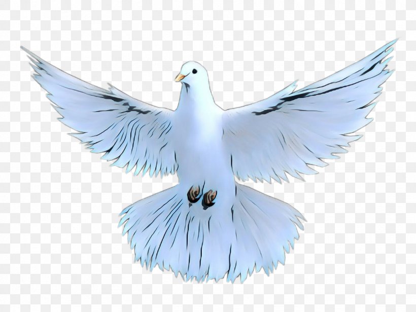 Dove Bird, PNG, 1024x768px, Pigeons And Doves, Beak, Bird, Blue, Computer Download Free