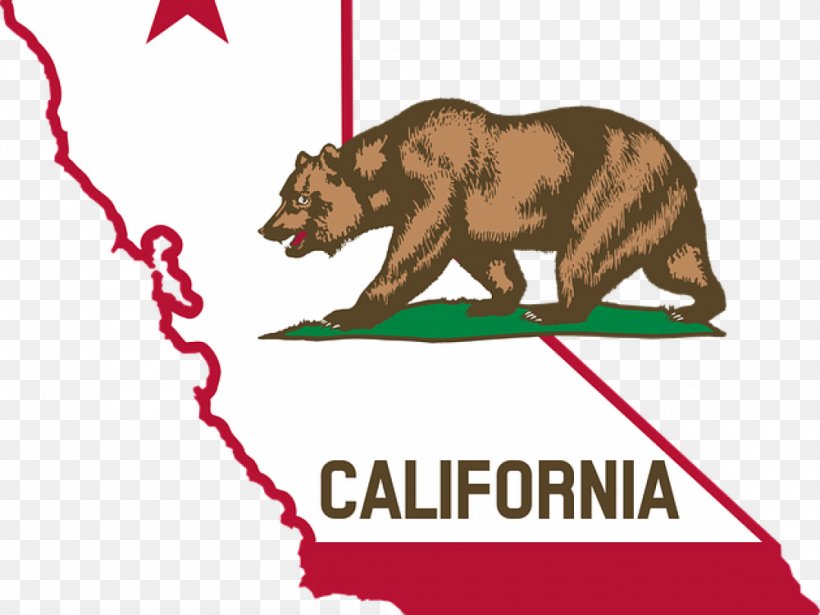 Flag Of California Flag Of The United States Governor Of California Law, PNG, 1000x750px, California, Bear, California Grizzly Bear, Carnivoran, Dianne Feinstein Download Free