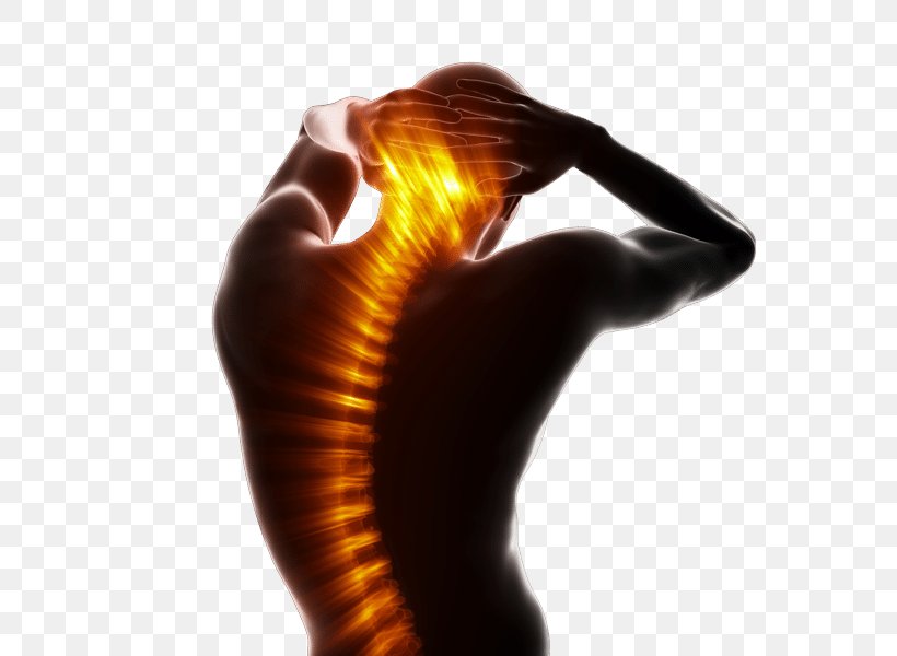 Massage Chiropractic Therapy Surgery Neck Pain, PNG, 600x600px, Massage, Arm, Back Pain, Chiropractic, Chiropractor Download Free