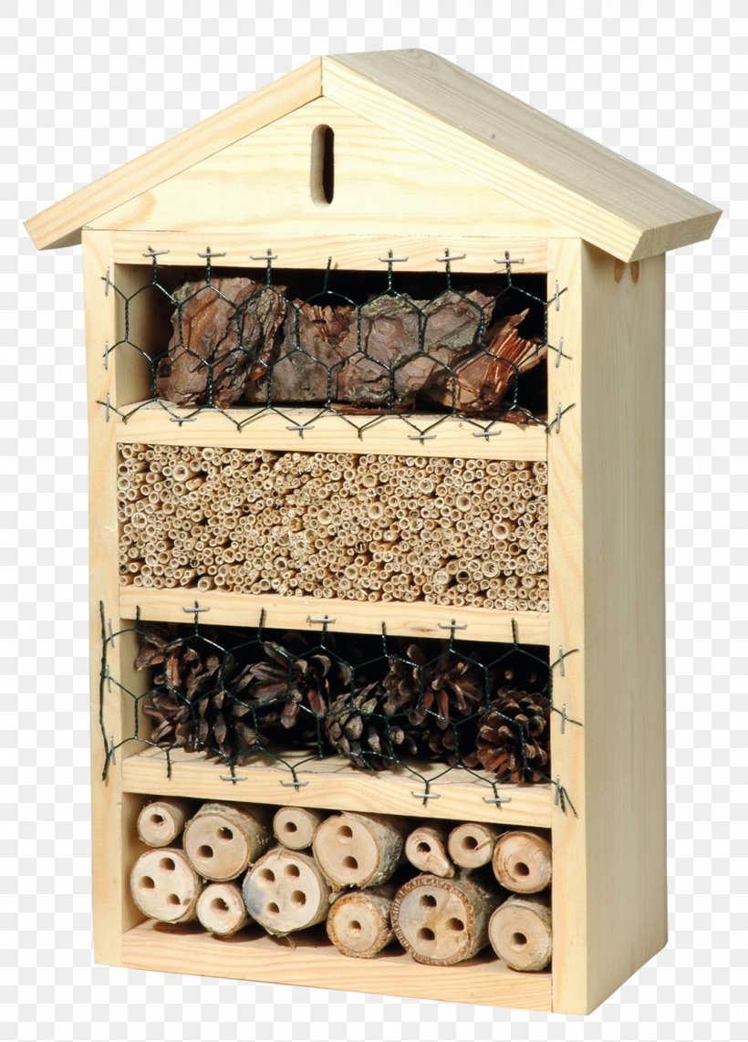 Canton Of Glarus Insect Hotel Bee Chrysoperla Carnea, PNG, 1077x1500px, Insect Hotel, Bee, Garden, Green Lacewings, Insect Download Free