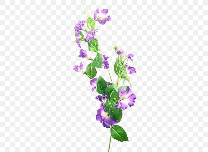 Flower Lavender Violet Lilac Floral Design, PNG, 800x600px, Flower, Cut Flowers, Family, Flora, Floral Design Download Free