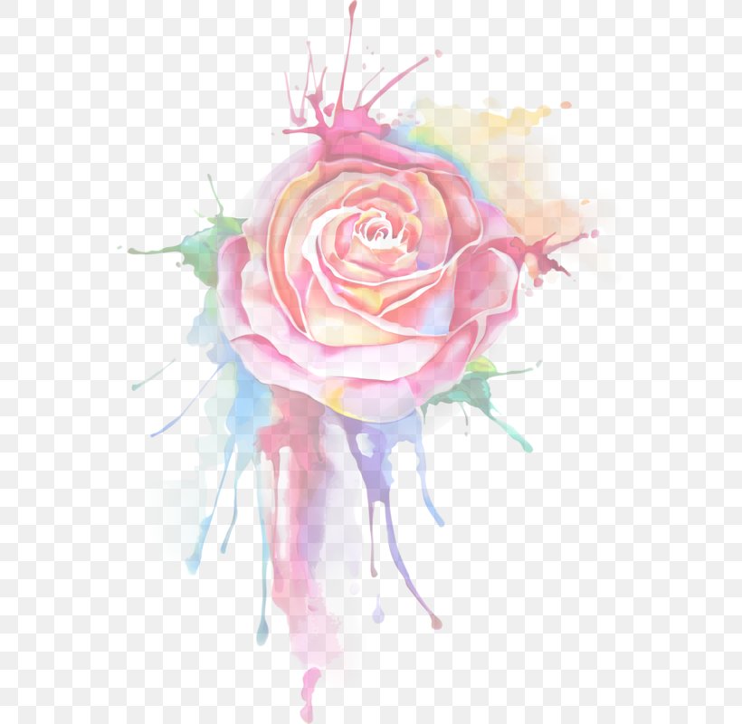Garden Roses Floral Design Watercolor Painting Drawing, PNG, 561x800px, Garden Roses, Acrylic Paint, Art, Artwork, Cut Flowers Download Free