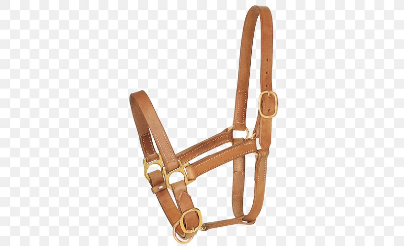 Halter Leather Equestrian Umbria, PNG, 500x500px, Halter, Bit, Chair, Equestrian, Furniture Download Free