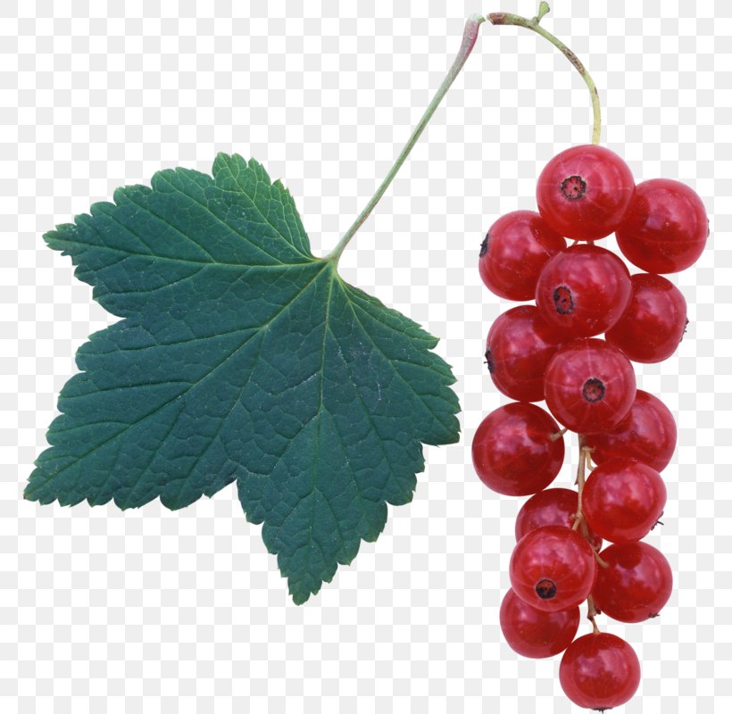 Redcurrant Frutti Di Bosco Blackcurrant Raspberry, PNG, 770x800px, Redcurrant, Berry, Blackcurrant, Currant, Food Download Free