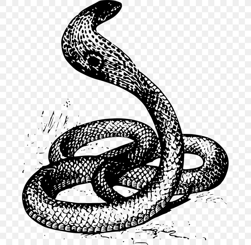 Snake Drawing Watercolor Painting Clip Art, PNG, 675x800px, Snake, Art, Automotive Design, Black And White, Boa Constrictor Download Free
