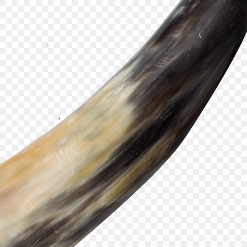 Drinking Horn Middle Ages /m/083vt Trading Company, PNG, 1024x1024px, Horn, Animal, Company, Description, Drinking Download Free