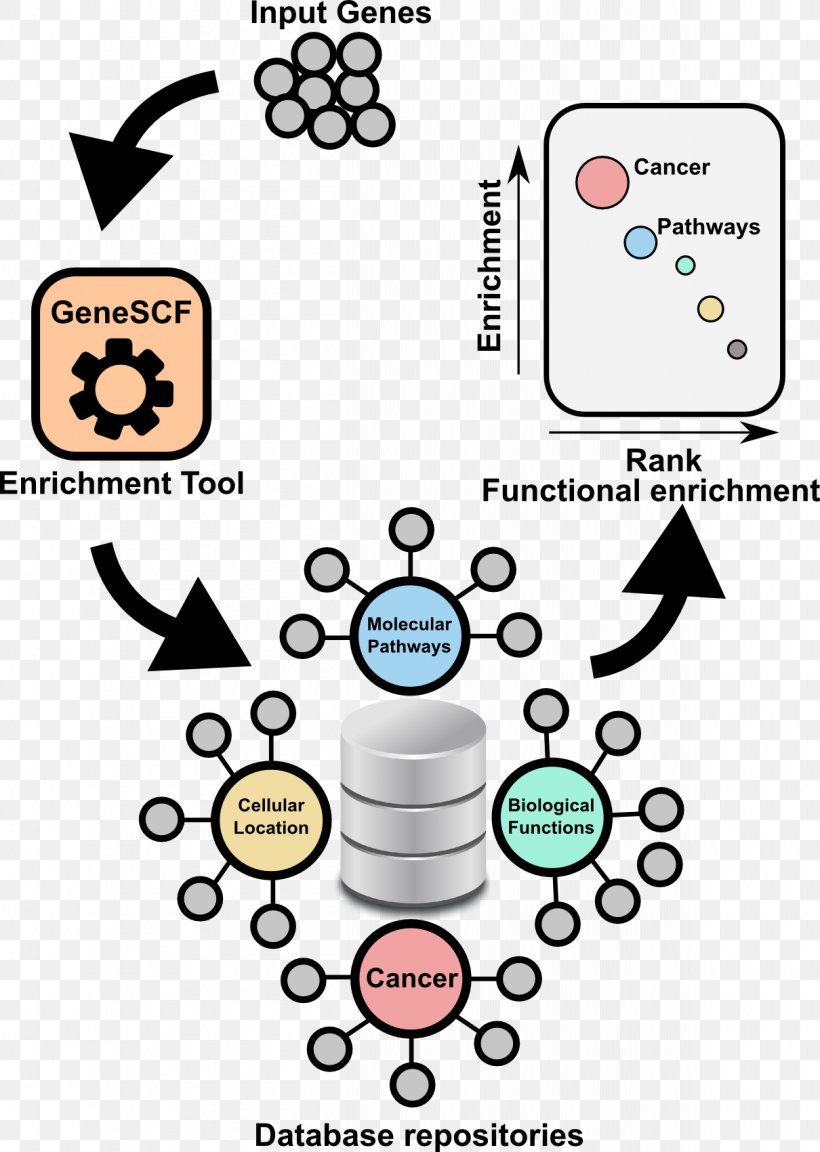 Gene Set Enrichment Analysis Gene Ontology DAVID RNA-Seq, PNG, 1210x1701px, Gene Set Enrichment Analysis, Annotation, Area, Brand, Cluster Analysis Download Free