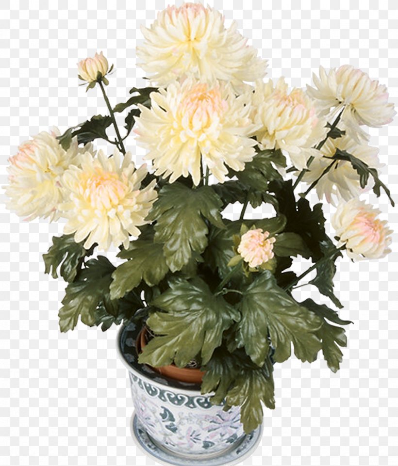Groveland Daytona Beach Kuhn Flowers Chrysanthemum, PNG, 1023x1200px, Groveland, Annual Plant, Artificial Flower, Chrysanthemum, Chrysanths Download Free