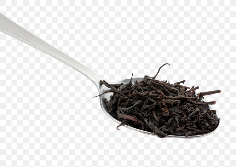 Nilgiri Tea Da Hong Pao Tea Plant, PNG, 1000x712px, Nilgiri Tea, Assam Tea, Ceylon Tea, Da Hong Pao, Dianhong Download Free