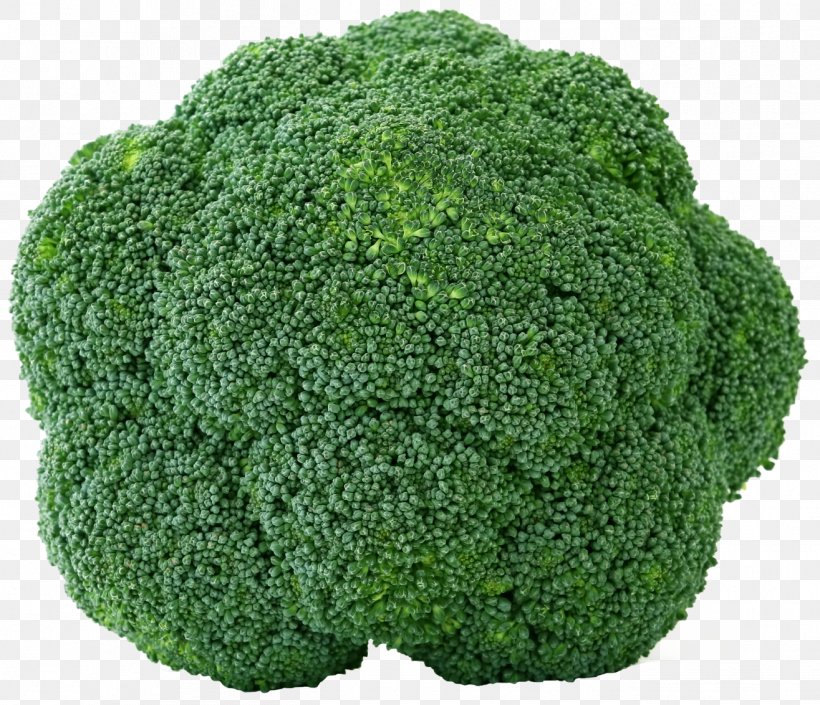 Broccoli Organic Food Indian Cuisine Vegetable Fruit, PNG, 1315x1132px, Broccoli, Cauliflower, Celeriac, Celery, Diet Download Free