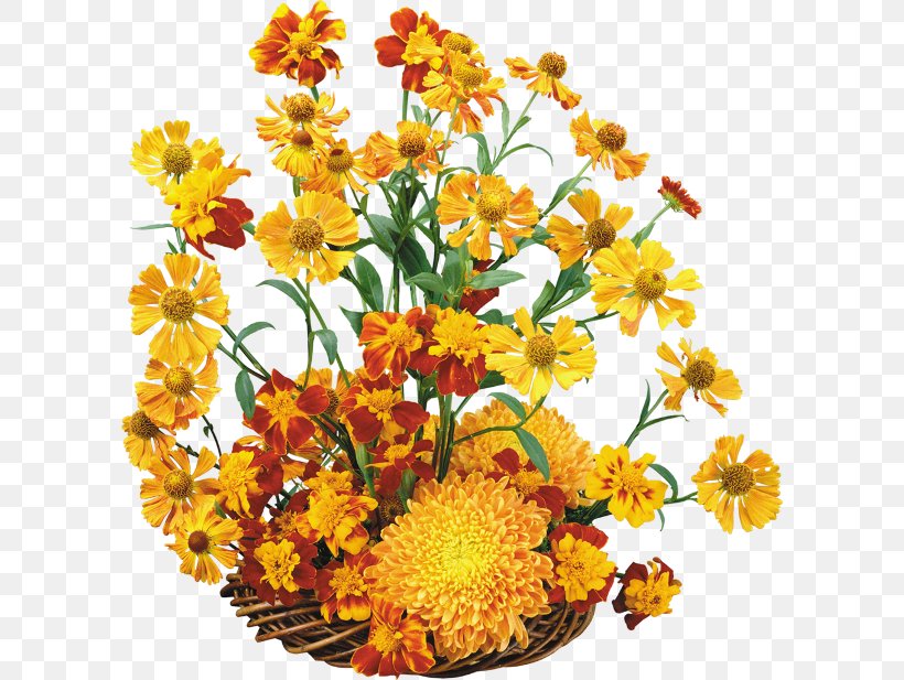 Flower Clip Art, PNG, 600x617px, Flower, Annual Plant, Chrysanths, Computer Software, Cut Flowers Download Free