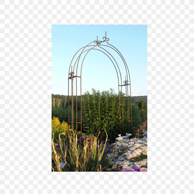 Pergola Arch Garden Trellis Gazebo, PNG, 1200x1200px, Pergola, Arch, Bench, Garden, Gate Download Free