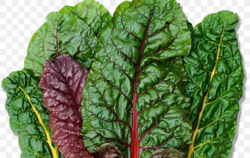 Swiss Cuisine Spanakopita Nutrient Chard Leaf Vegetable, PNG, 822x520px, Swiss Cuisine, Chard, Collard Greens, Cooking, Food Download Free