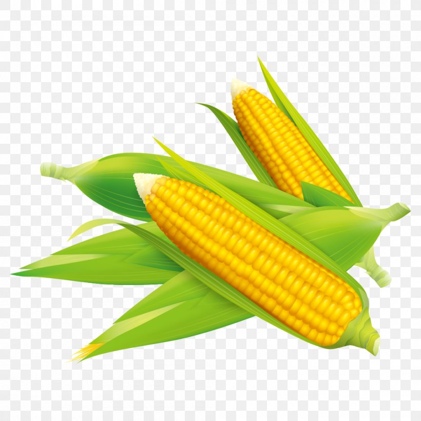 Corn On The Cob Corn Flakes Maize Field Corn, PNG, 1000x1000px, Corn On The Cob, Art, Commodity, Corn Flakes, Corncob Download Free