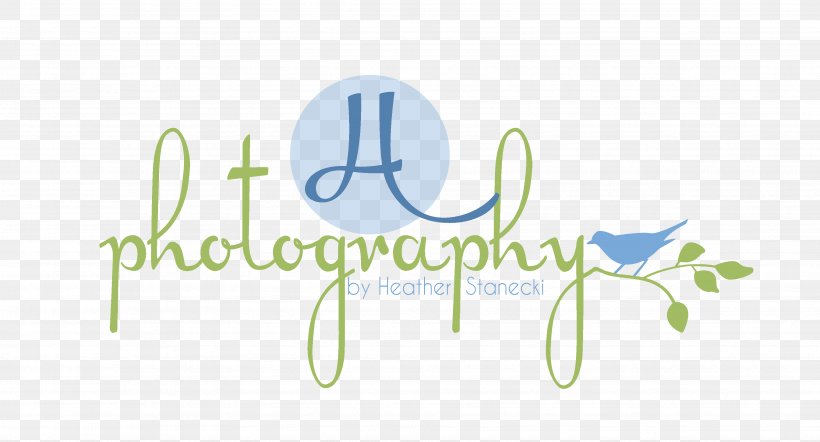 Logo Graphic Design Photography, PNG, 3512x1896px, Logo, Art Museum, Brand, Green, Label Download Free