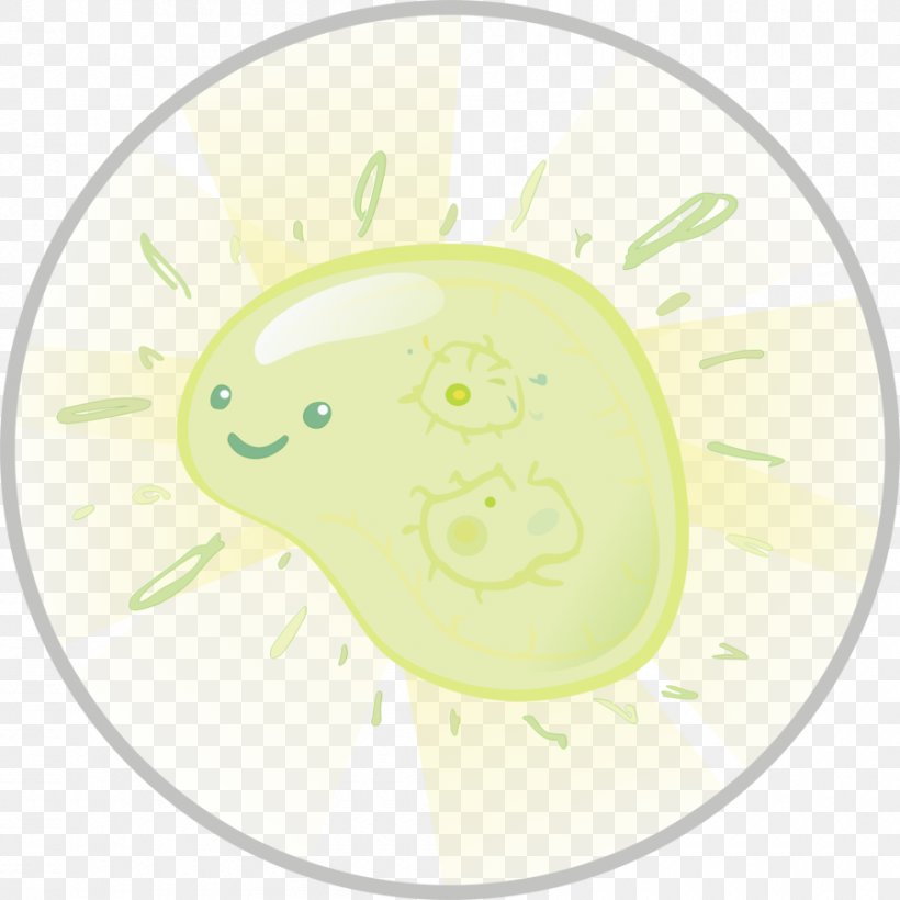 Pathogenic Bacteria Kavaii Infection Microorganism, PNG, 900x900px, Bacteria, Amphibian, Bacterial Vaginosis, Child, Cuteness Download Free