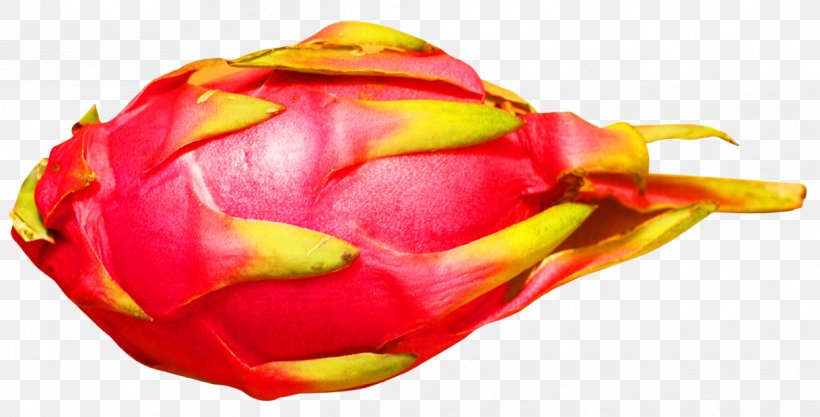 Pitaya Fruit, PNG, 1218x620px, Pitaya, Auglis, Close Up, Flavor, Flower Download Free