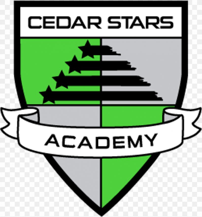 Cedar Stars Academy Newark Capelli Sport Center Capelli New York/GMA Accessories Inc, PNG, 951x1024px, Newark, Area, Artwork, Bergen County New Jersey, Brand Download Free